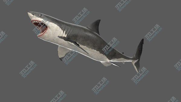 images/goods_img/20210312/Great White Shark Rigged 3D/4.jpg